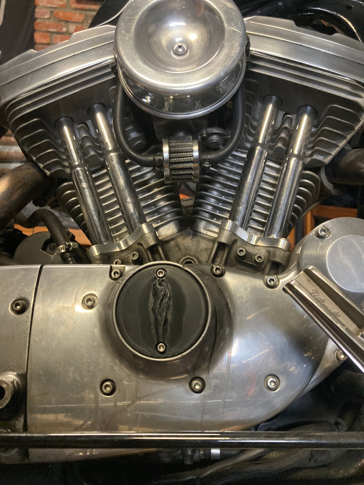 1986-2003 Sportster Timing Cover - BLACK - XXX